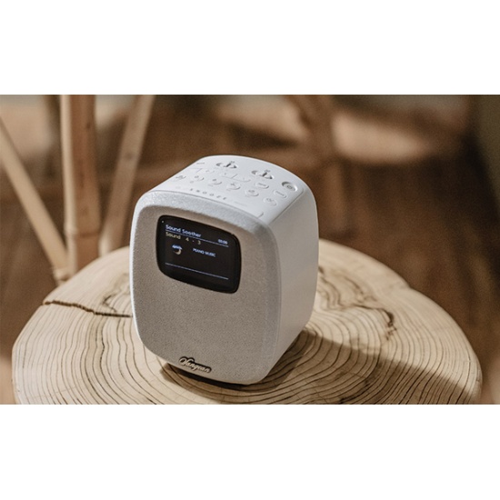 Радиоприемник SANGEAN DCR-83 (White) — купить в интернет-магазине ...