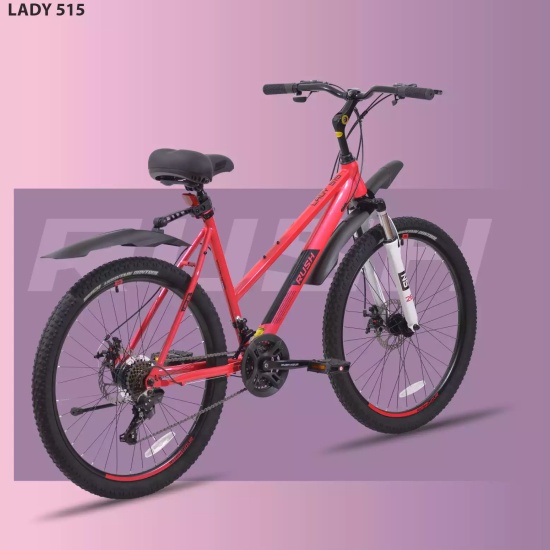 Ladies cycle price below 3000 new arrivals