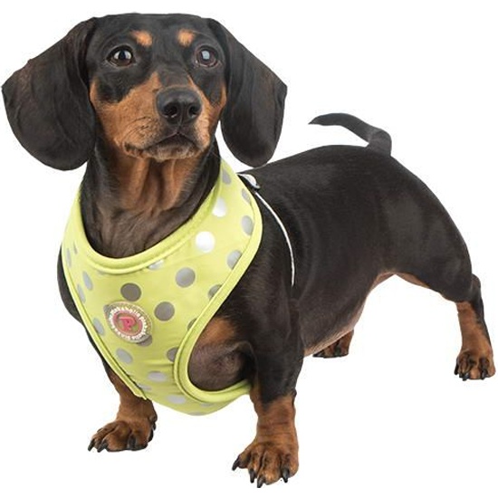 Pinkaholic dog hot sale clothes