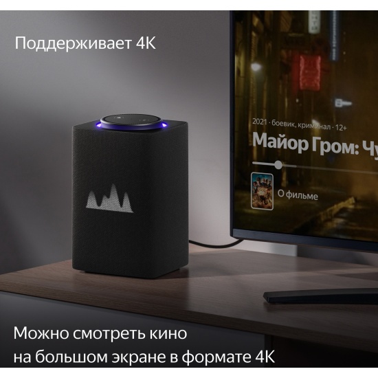 Умная колонка Яндекс Станция Макс с Zigbee, графит YNDX-00053 K ...