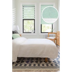 Изображение товара Рулонная штора Эскар День-Ночь 52х170 мятная Оксфорд для окон