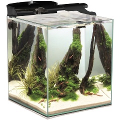 Изображение товара Аквариум AQUAEL SHRIMP SET DUO 49 л с оборудованием для креветок и рыб