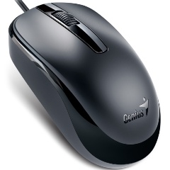 Изображение товара Мышь Genius DX-120 USB черный для работы и учебы