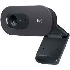 Изображение товара Веб-камера Logitech C505e HD Webcam (960-001373)