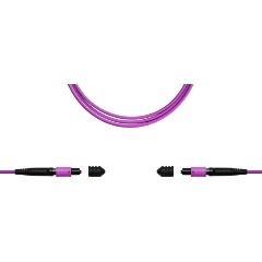 Изображение товара Оптоволоконный кабель MPO-MPO 12 волокон OM4 тип B 50 м розовый TopLan