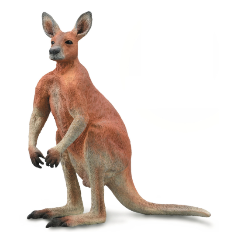 Изображение товара Фигурка Collecta 88942b Кенгуру самец L