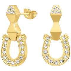 Изображение товара Элегантные женские серьги CERRUTI 1881 из нержавеющей стали с кристаллами