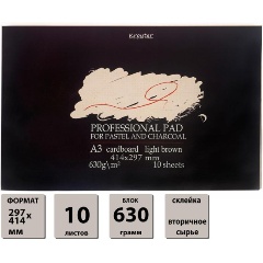 Изображение товара Альбом для пастели Kroyter А3 10 листов экологичный стильный