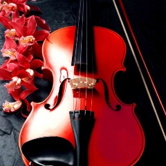 Изображение товара Алмазная мозаика MOLLY KM0224 Музыка цветов 30х30 см