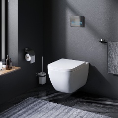 Изображение товара Унитаз подвесной AM.PM C901701SC Gem FlashClean с сиденьем микролифт