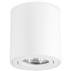 Изображение товара Потолочный светильник Ambrella light Techno Spot TN22701 для кафе ресторанов светодиодный металлик