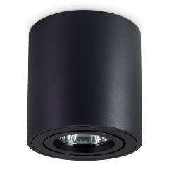 Изображение товара Потолочный светильник Ambrella light Techno Spot TN22702