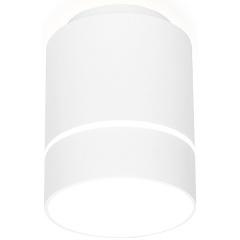 Изображение товара Потолочный светильник Ambrella light Techno Spot TN255