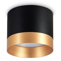 Изображение товара Потолочный светильник Ambrella light Techno Spot TN5317