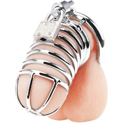 Изображение товара Металлическая клетка BLUELINE Deluxe Chastity Cage с замком для сексуальных игр