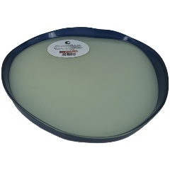 Изображение товара Блюдо АКСАМ "Green Tea" 28 см (14184/T)