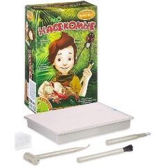 Изображение товара Набор для раскопок BONDIBON ВВ1859 Насекомые