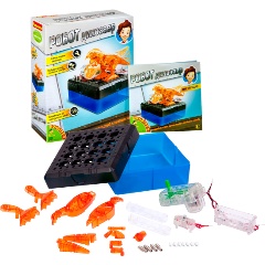 Изображение товара Набор для опытов BONDIBON ВВ2872 Робот динозавр