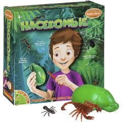 Изображение товара Набор для раскопок BONDIBON ВВ3175 Насекомые