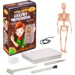Изображение товара Набор для раскопок BONDIBON ВВ4790 Тайны веков: Скелет древнего человека