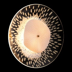 Изображение товара Бра Crystal Lux CONTESSA AP2.1