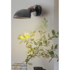 Изображение товара Бра Imperium Loft Onder 204451-26