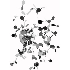 Изображение товара Бра Lightstar Extra 721634