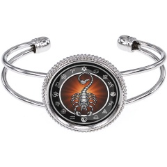 Изображение товара Браслет АМУЛЕТИКА BSCP-0211 Скорпион из бижутерного сплава