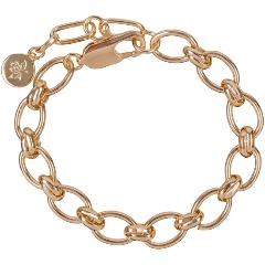 Изображение товара Браслет FIORE LUNA Cleo Сarabiner (CL6087 G)