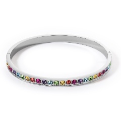 Изображение товара Браслет Multicolour Silver 19 см Coeur de Lion 0131/37-1517
