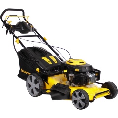 Изображение товара Газонокосилка бензиновая CHAMPION LM5346E