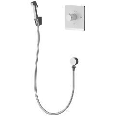 Изображение товара Смеситель для биде с термостатом Rose R105C, белый/хром