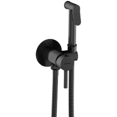 Изображение товара Смеситель для биде Damixa 217000000 черный