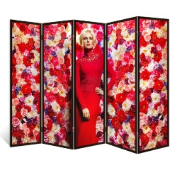 Изображение товара Ширма перегородка ДЕКОР ДЕПО Лайк 5 створок венге 176х230 см