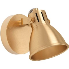 Изображение товара Спот Eglo Seras 900169