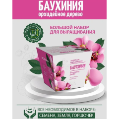 Изображение товара Подарочный набор ЭКОКЛУБ "Комнатные растения. Баухиния"