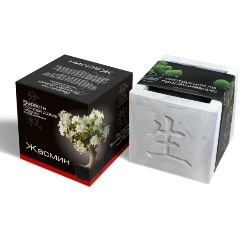 Изображение товара Подарочный набор для выращивания ЭКОКЛУБ "Вырасти Бонсай дома. Жасмин"