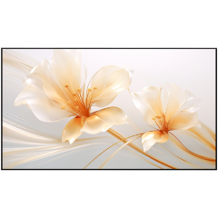 Изображение товара Экран для проектора XGIMI P165S 100"