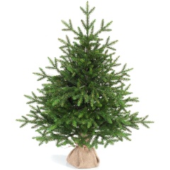 Изображение товара Искусственная ель ЦАРЬ ЕЛКА Ева 70 см для новогоднего декора