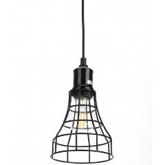 Изображение товара Подвесной светильник ЭРА Loft PL10 BK