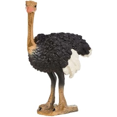 Изображение товара Фигурка Masai Mara MM211-157 серии "Мир диких животных": Страус