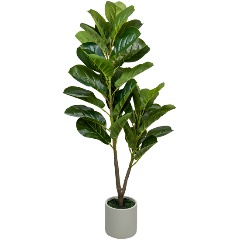 Изображение товара Фикус Вещицы в цементном горшке, Д140 Ш140 В960