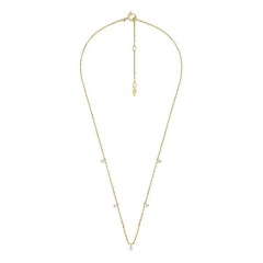 Изображение товара Колье FOSSIL JA7131710