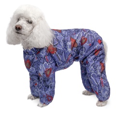 Изображение товара Комбинезон демисезонный GAМMA "Карликовый пудель", 25 см