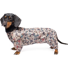 Изображение товара Демисезонный комбинезон для собак GAМMA 36 см Кроличья такса теплая защита