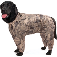 Изображение товара Комбинезон зимний GAMMA "Лабрадор" 58 см