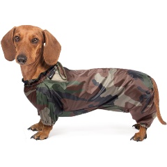 Изображение товара Комбинезон демисезонный GAМMA "Такса", 41 см