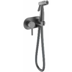 Изображение товара Смеситель для биде Raglo встраиваемый R20.52.09