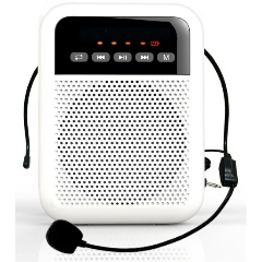 Изображение товара Громкоговоритель LAudio WS-VA030 5Вт компактный портативный сабвуфер