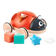 Изображение товара Каталка-сортер HAPE E0364_HP Божья коровка 5 предметов